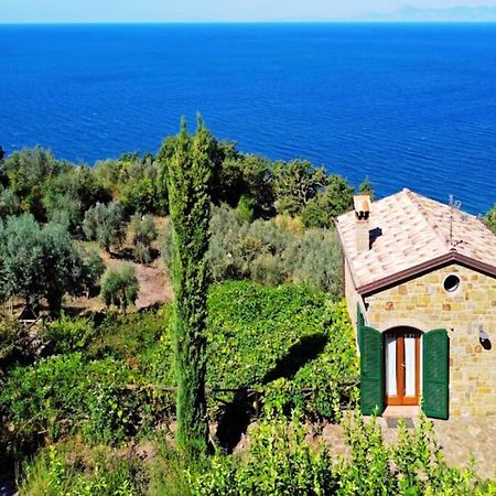 Bellezza In Cilento Panoramic Apts Castellabate Exterior foto